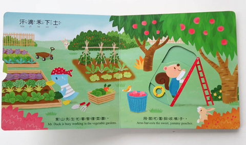 夏天的農場