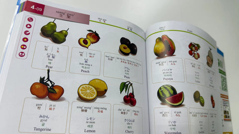 《 Illustrated Hong Kong Cantonese 》(Second edition) 圖解港式廣東話