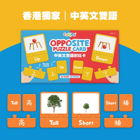 中英文雙語對比卡
