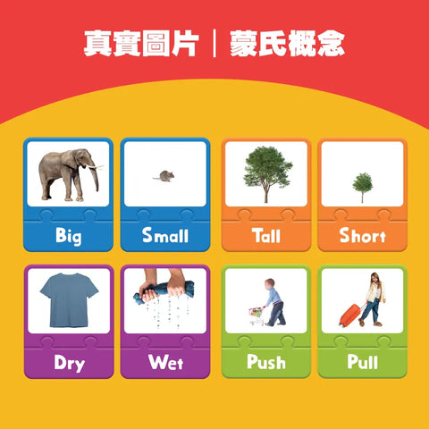 中英文雙語對比卡