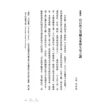 小河男孩