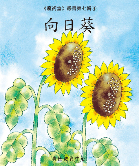 魔術盒叢書 - 第七輯 (書12冊、光碟 1 隻)