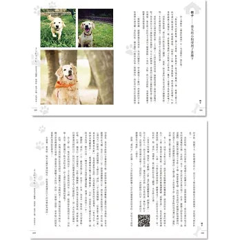 尋回散步時光：與金毛犬聰聰一起成長、漫步小城，直到老去！