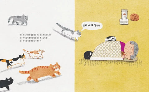 貓房子