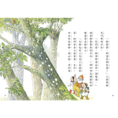【好好讀小學堂】早安森林2.大樹的祕密