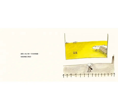 到烏龜國去