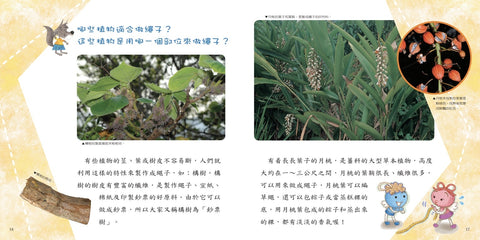 小野狼的繩子